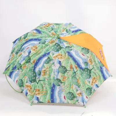 Parapluie (Vert, Multicolore) de Scout