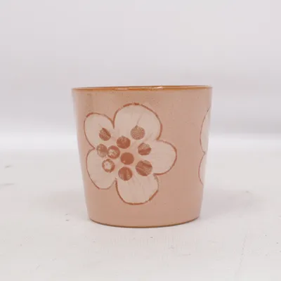 Mok (Beige, Roze) van Denby