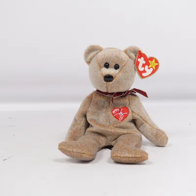 Zacht speeltje (Signature Bear) van TY