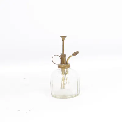 Sprayflaske (Antik mkt ovanlig blomspruta i glas och mässing)