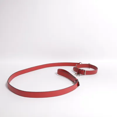 Leash (Red) from Coach