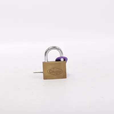 Hangslot (Cougar) van Cougar
