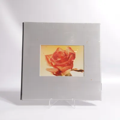 Photo album (Silver)