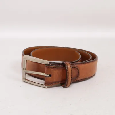 Belt (Brown) from Magnanni
