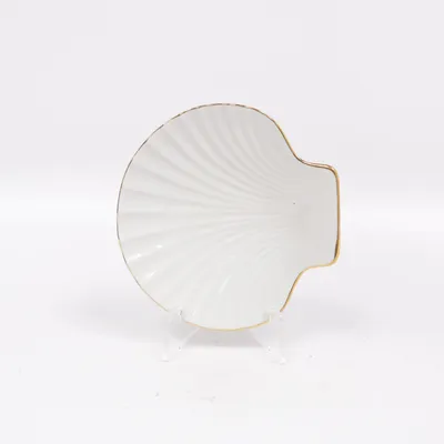 Shell (White) from Porzellan