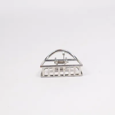 Pince à cheveux (Argent)