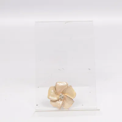 Broche (Beige) Onbekend materiaal