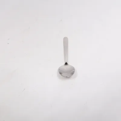 Spoon (Silver)