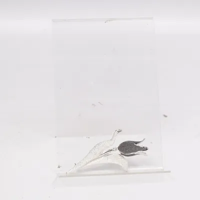 Broche (Argent, Noir) Métal inconnu