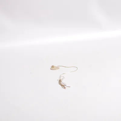 Charm (Gold) from Lalique Unknown metal