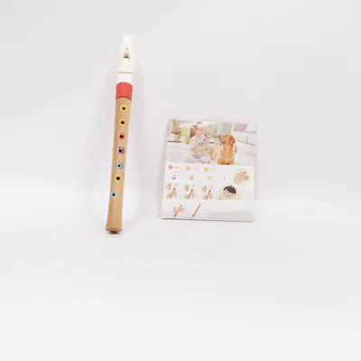 Flûte (Mini Musician's Starter Recorder) de Hape
