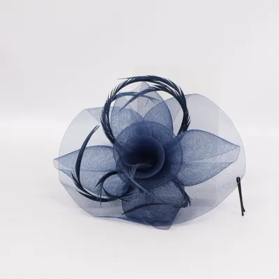 Haaraccessoires (Blauw)