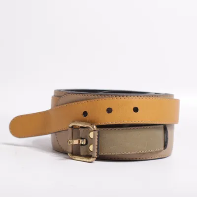 Belt (Brown, Black) from Etienne Aigner