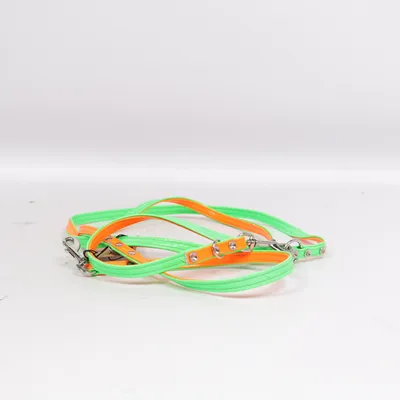 Laisse (Orange, Vert)