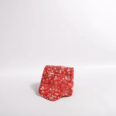Stropdas (Rood) van Altea Zijde