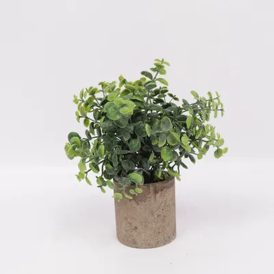 Artificial plant (Green, Brown)
