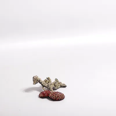 Brosch (Röd, Silverfärgad, Flerfärgad) Okänd metall