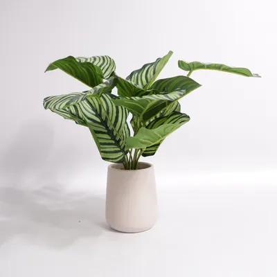 Artificial plant (Green, Multicolored)