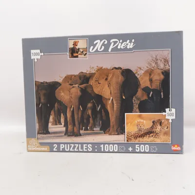 Puzzle from Goliath