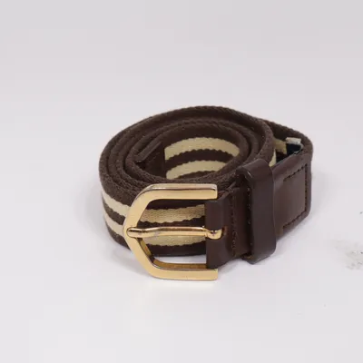 Belt (Brown, Beige) from GANT
