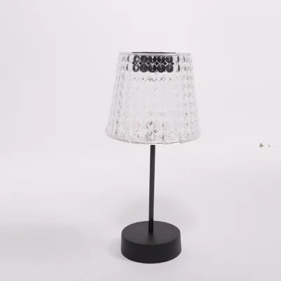 Solar powered light (Transparent, Black) from Die Die Fashion