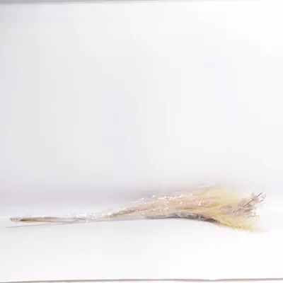 Kunstplant (Beige, Roze, Groen)