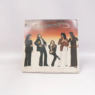 Vinyl record