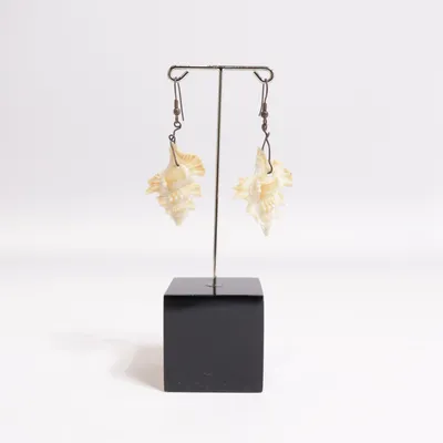 Earrings (Beige) Unknown metal