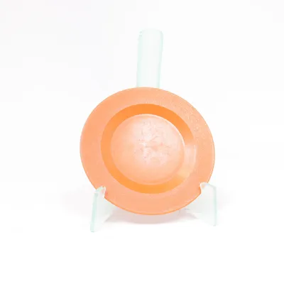 Plate (Orange) from Fisher Price