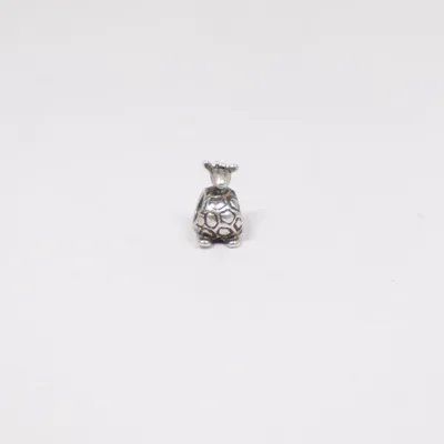 Charme (Argent) de Pandora Argent