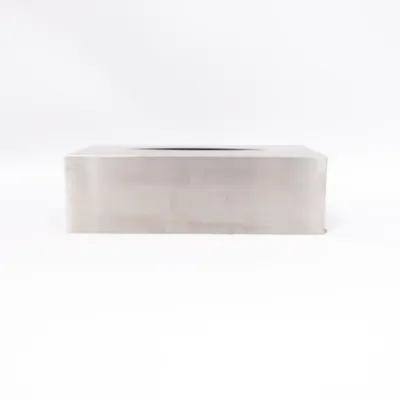 Badkameraccessoire (Kosmetiktücherbox) van Blomus Roestvrij staal