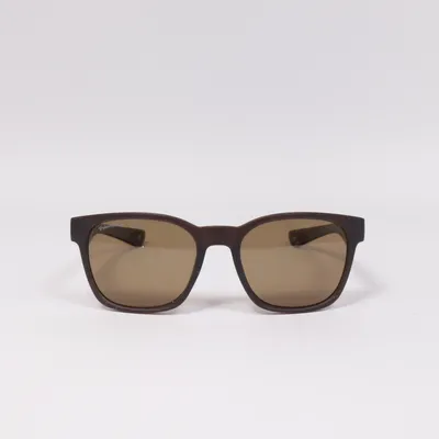 Sunglasses (Brown) from Montana