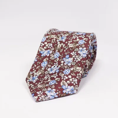 Tie (Brown, Blue, Multicolored) from Neckwear Silk