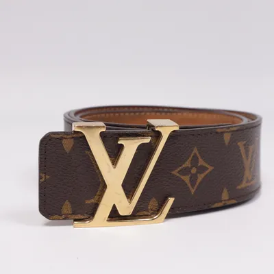 Belt (Brown) from Louis Vuitton