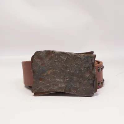 Riem (Bruin) van Dare Leer