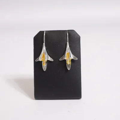 Earrings (Silver, Gold) Unknown metal
