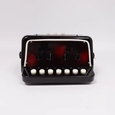 Accordion (Black, Multicolored)