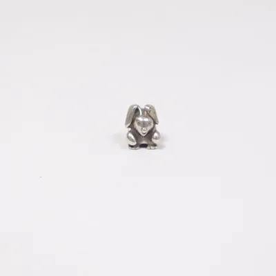 Charme (Argent) de Pandora Argent