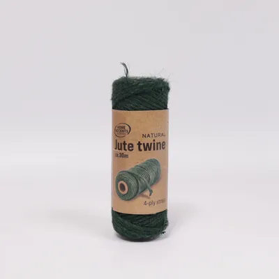 String (Green) from Home Accents