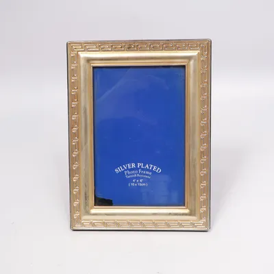 Frame (Baytex verzilverde fotolijst )