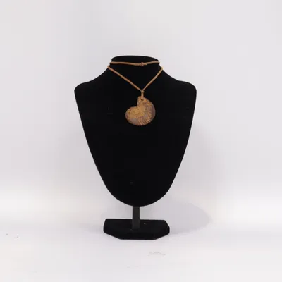 Collier (echtes Fossil  - versteinerte Schnecke) Coquillage, Cuir