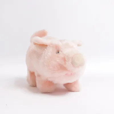 Zacht speeltje (Roze) van Hamleys