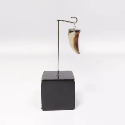 Pendentif (Perlmutt) Coquillage