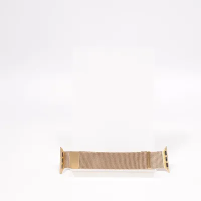 Watchband (Silver)