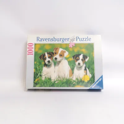 Puzzle from Ravensburger