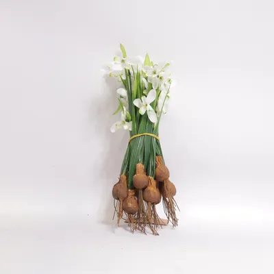 Kunstplant (Wit, Groen, Bruin) van Loberon