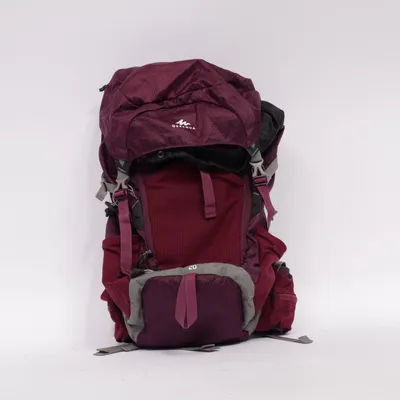 Hiking backpack (Purple, Black)