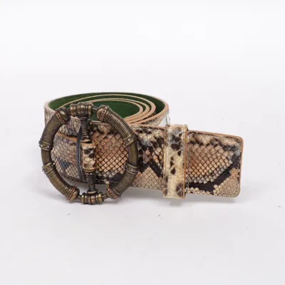 Belt (Brown, Multicolored) from Gianfranco Ferré Leather