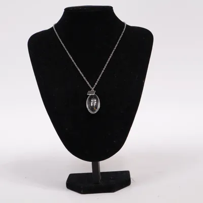 Halsband (Silverfärgad) från Wish Okänd metall