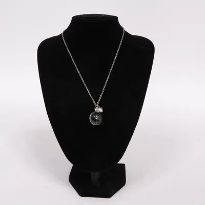 Halsband (Silverfärgad) från Wish Okänd metall